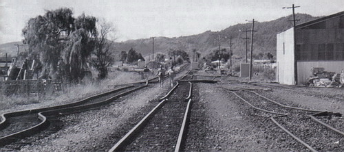 Bay of Plenty Earthquake - 1987