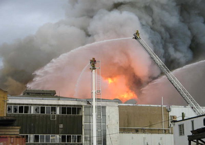 Southdown Freezing Works