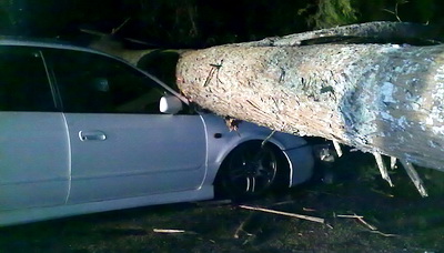 Effects of Weather - Kumeu