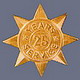 Gold Star medal